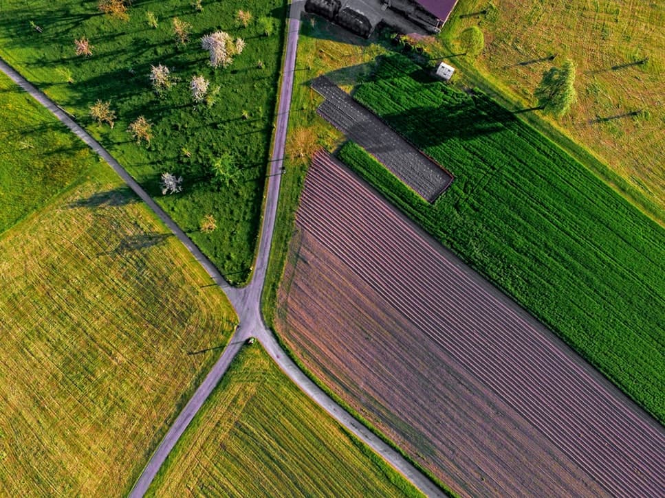 Terrenos